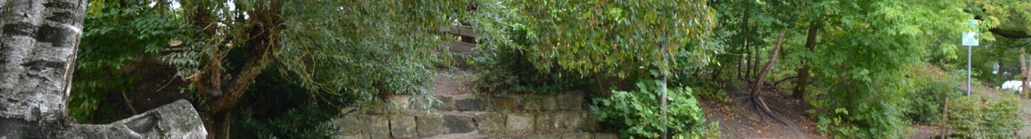 Marienschule- gemeinsam wachsen